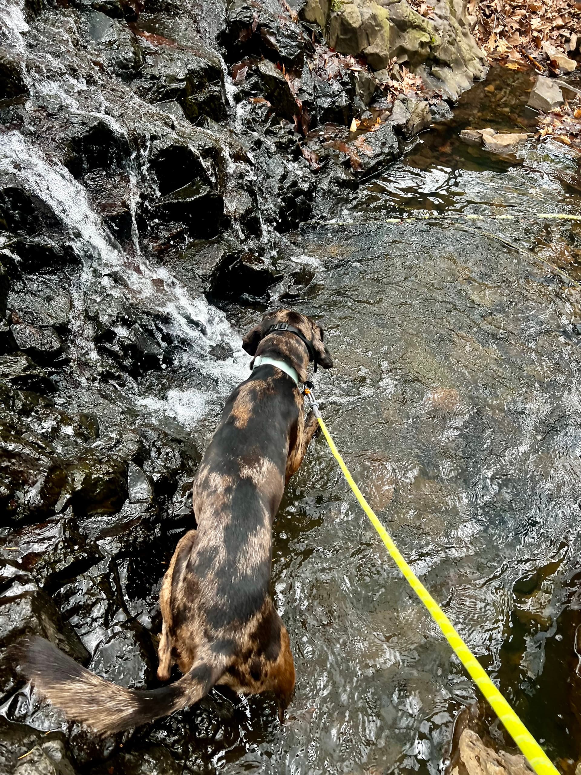 Aquapic