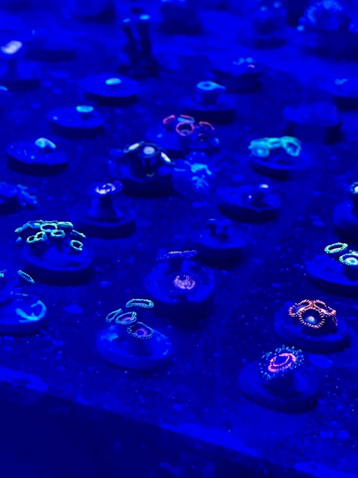 Aquapic by Andrew Rosinski